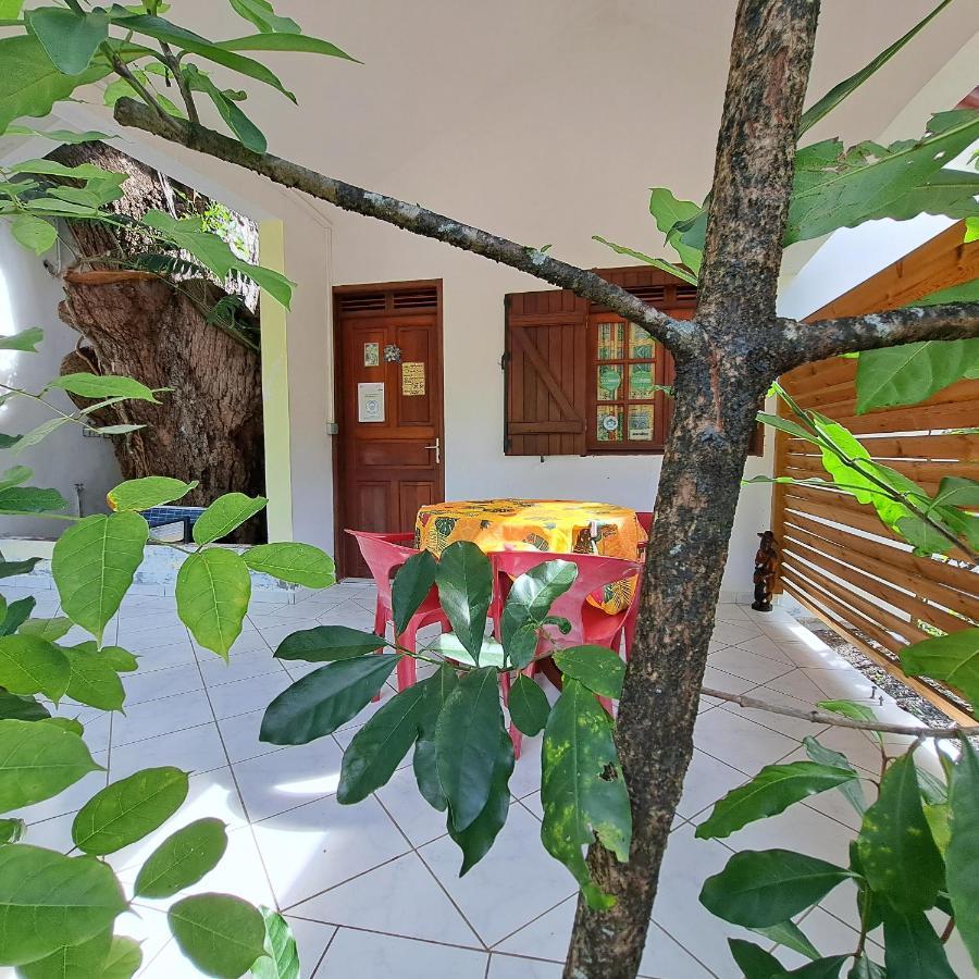 Residence Les Manguiers Поант-Ноар Екстериор снимка