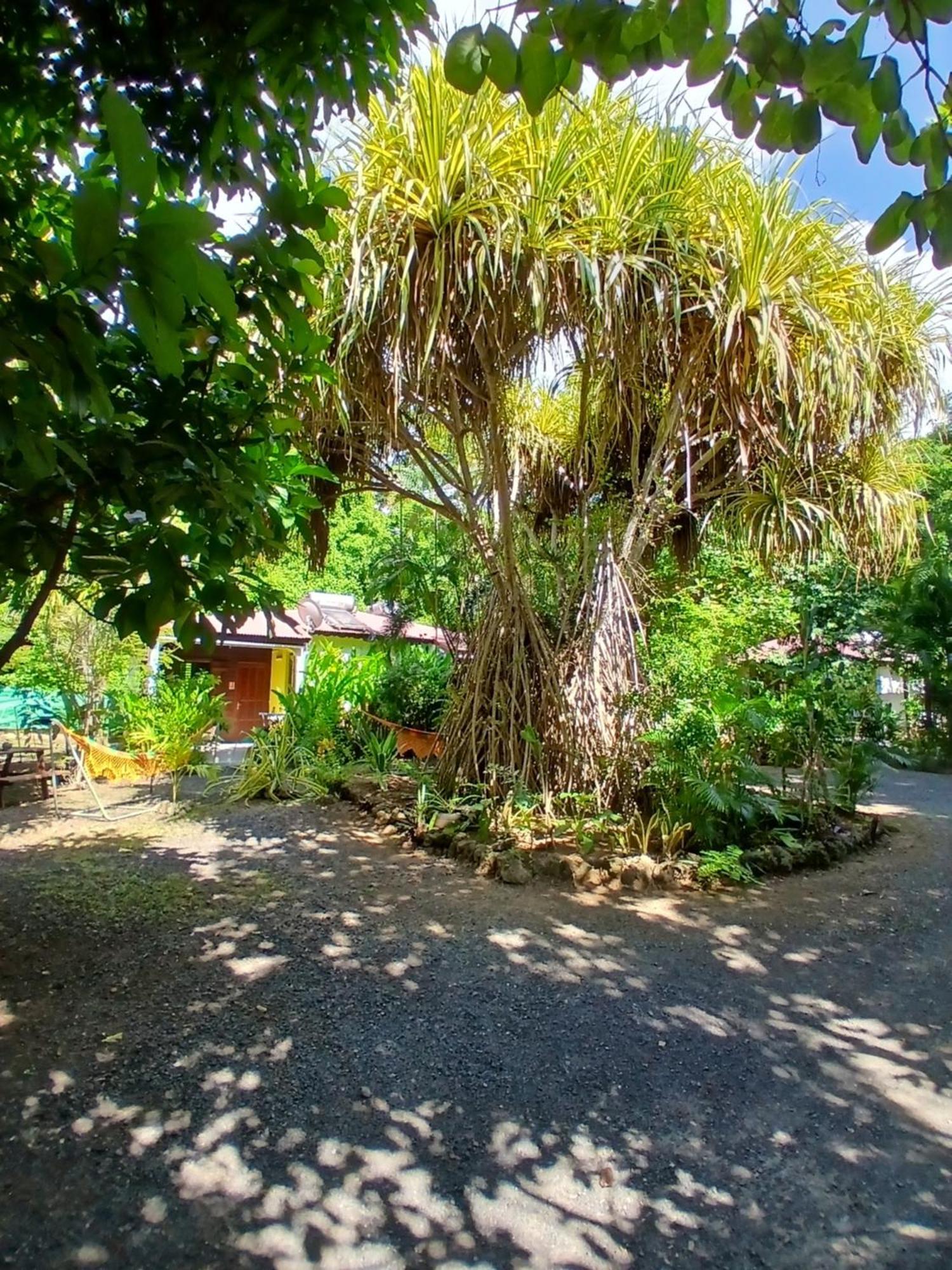 Residence Les Manguiers Поант-Ноар Екстериор снимка