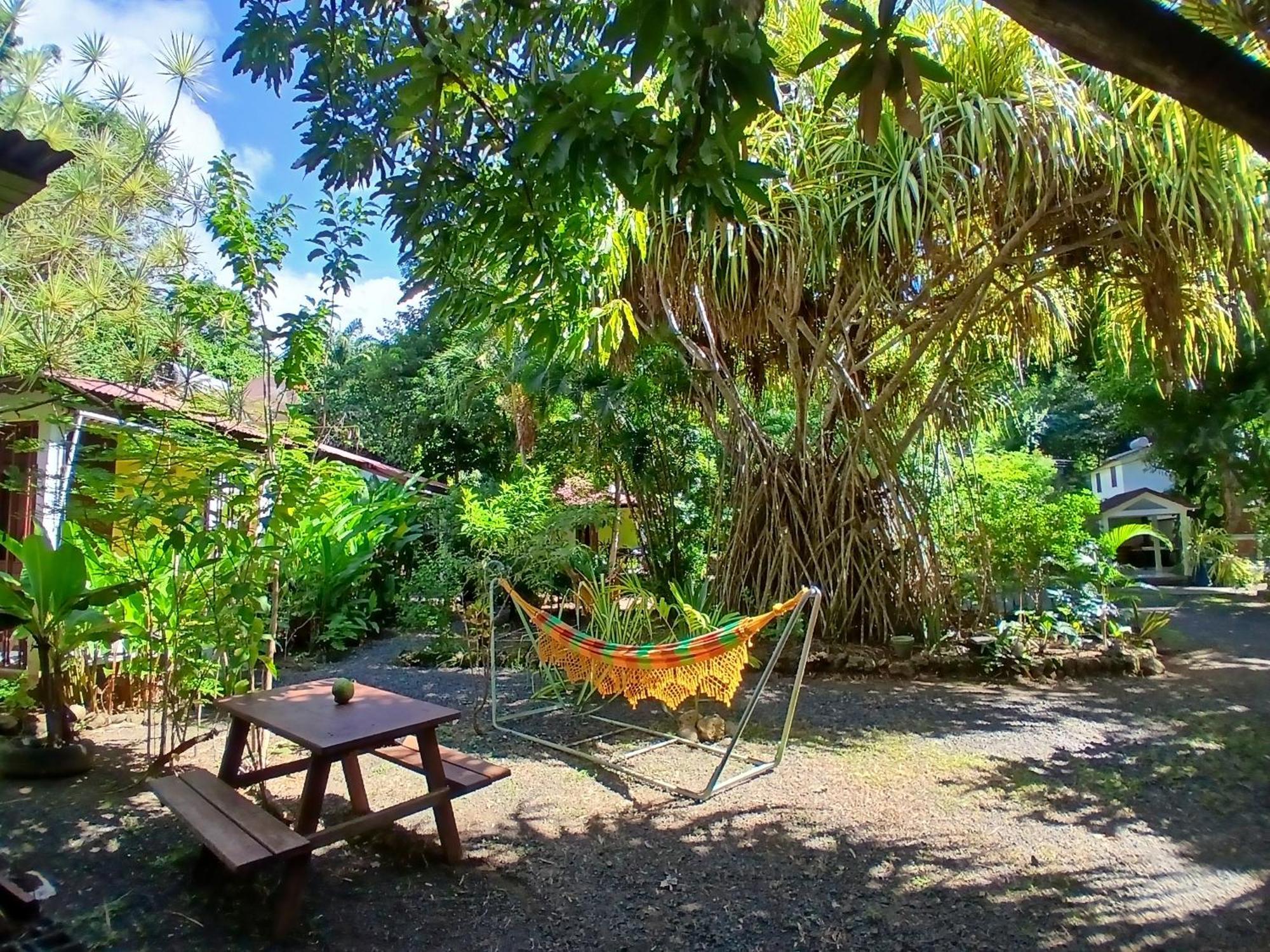 Residence Les Manguiers Поант-Ноар Екстериор снимка