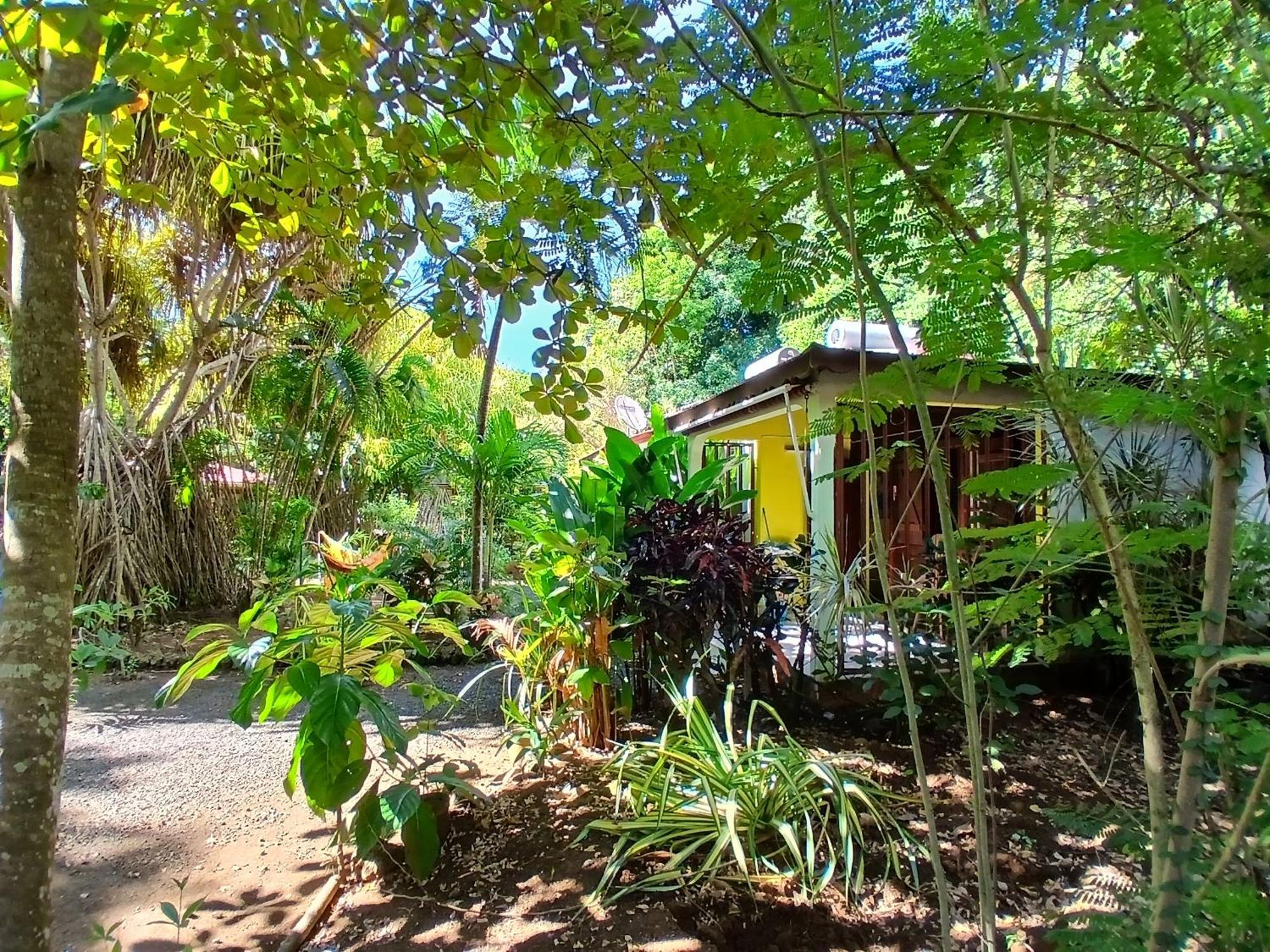 Residence Les Manguiers Поант-Ноар Екстериор снимка