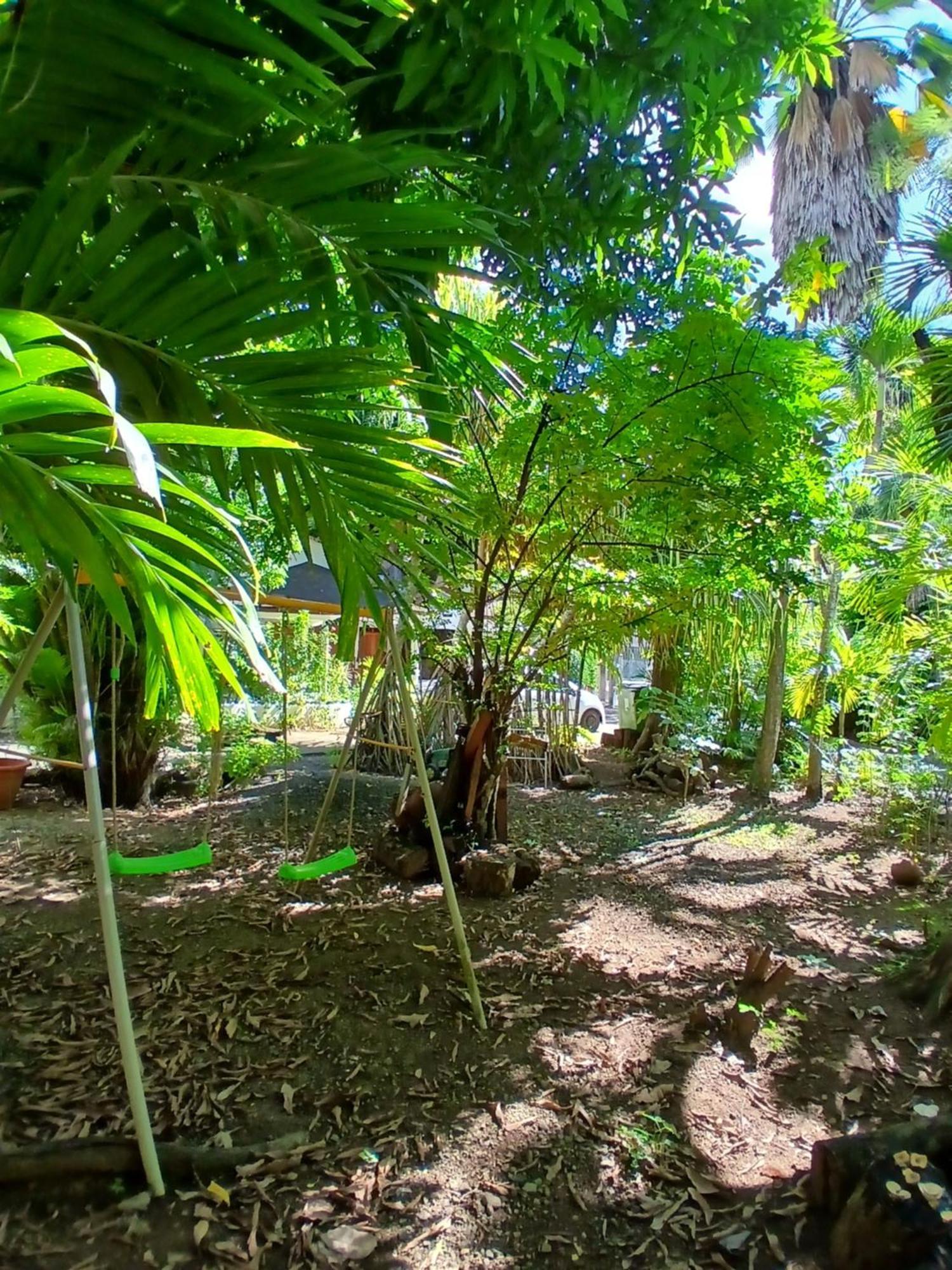 Residence Les Manguiers Поант-Ноар Екстериор снимка